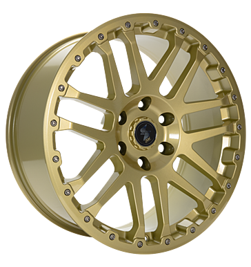 Eta Beta Eta Beta Combat CV gold shiny 9.0 × 20.0