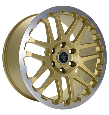 Eta Beta Eta Beta Combat gold matt lip cap pol 8.0 × 18.0